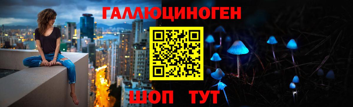 Псилоцибиновые грибы GOLDEN TEACHER Тольятти